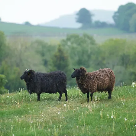 Canny Brow Barn בית נופש קנדל