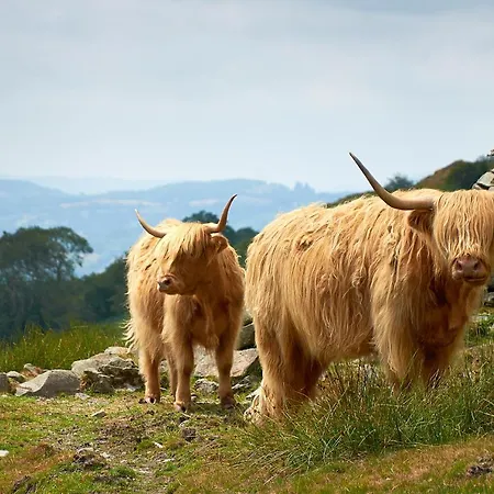 Canny Brow Barn Kendal