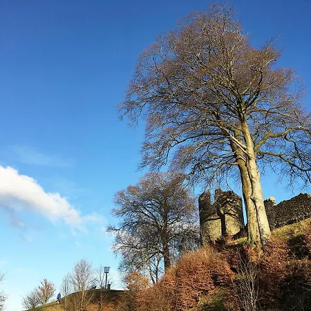 Canny Brow Barn בית נופש *