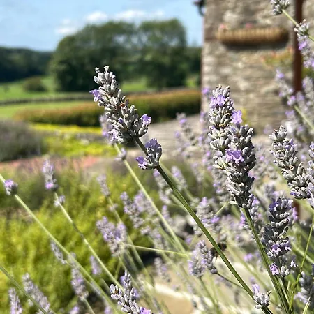 בית נופש Canny Brow Barn *